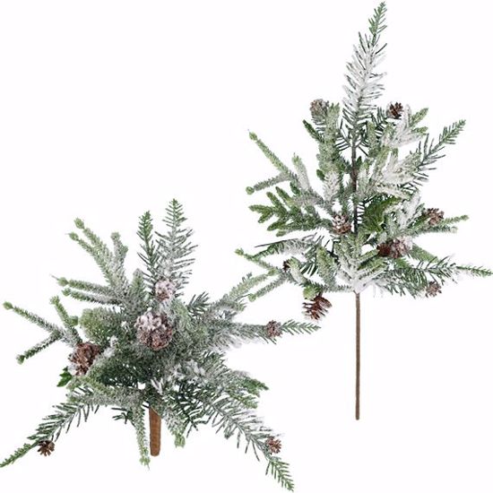 Picture of 2 Asst. 11"-22" Norfolk Flocked Pine Plastic Spray