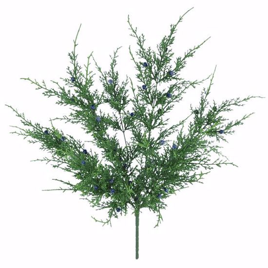 Picture of Evergreen Bush- Juniper (7 Stems, 20")