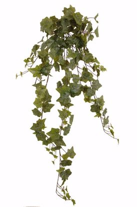 Picture of 36" Real Touch Ivy Indoor/Outdoor Stem x 14
