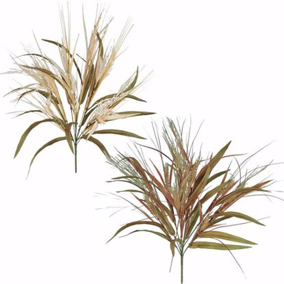 Picture of Cream/Brown Wheat Grass Bush (2 Assorted, 10 Stems, 21")