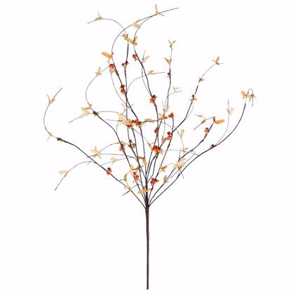 Picture of Bittersweet  Branch (40")