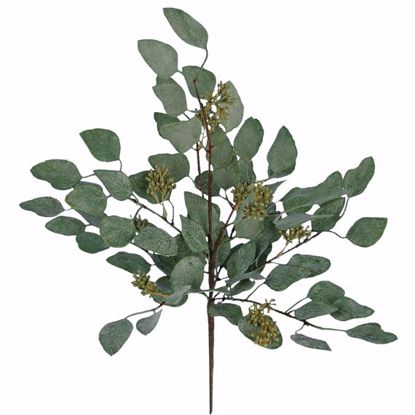 Picture of Dark Sage Seeding Eucalyptus Bush (Plastic, 17")