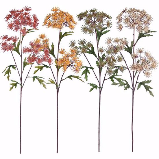Picture of Dill Blossom Stem Assortment (26")