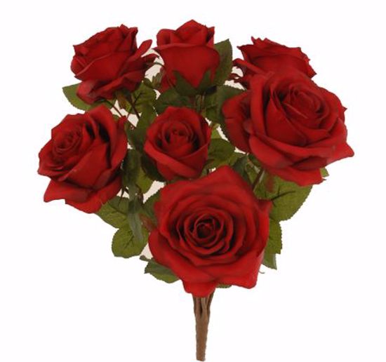 Picture of Red Garden Rose Bush (9 Stems, 15")