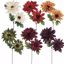 Picture of 6 Asst 15" Dahlia Stem x 2 