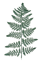 Picture of 16" Leather Leaf Plastic Stem