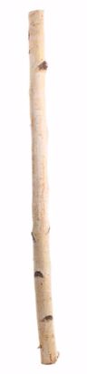 Picture of 3' Natural Birch Pole