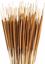 Picture of Dark Brown Pencil Cattails