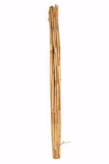 Picture of Bamboo/Rivercane - Natural