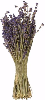Picture of Natural Lavender (3.5 oz)
