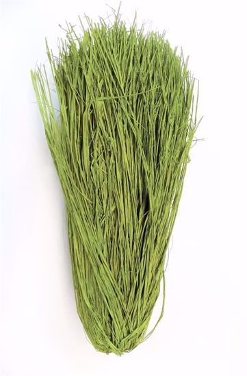 Picture of Raffia Green Trimmed