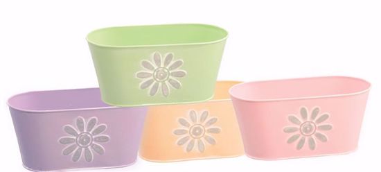 Picture of Pastel Daisy Pattern Oval Planter Assortment 8"