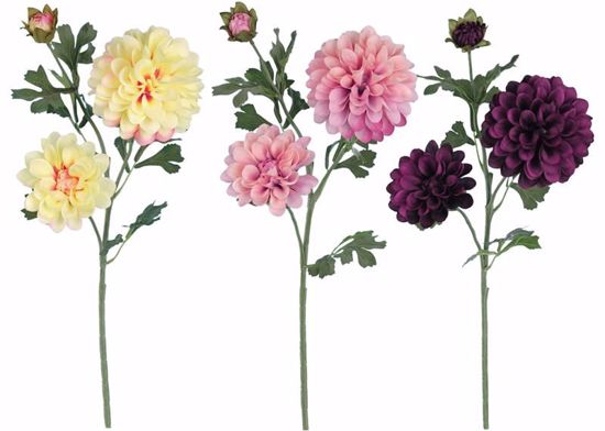 Picture of 3 Asst. 26" Dahlia Stem