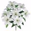Picture of 20" White Tiger Lily Bush x 9