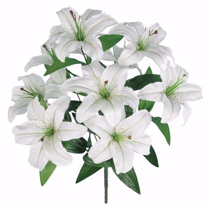 Picture of 20" Tiger Lily Bush x 9