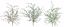 Picture of 3 Asst. 22" Gypsophila bush