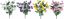 Picture of 4 Asst 18" Ranunculus Bush x 7