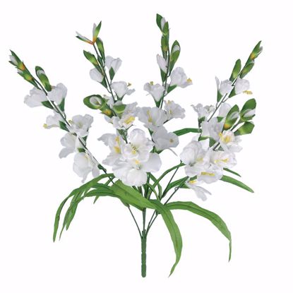 Picture of 26" White Gladiolus Bush x 6
