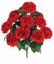 Picture of 20" Red Carnation Bush x 12