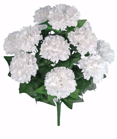 Picture of White Carnation Bush (12 Stems, 20")