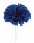 Picture of 7" Blue Carnation Pick