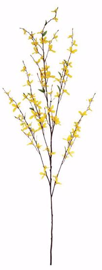 Picture of 51" Forsythia Branch x 5