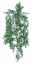 Picture of 26" Eucalyptus Bush Vine