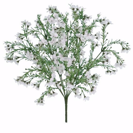 Picture of White Wax Flower Bush (Plastic, 9 Stems, 19")