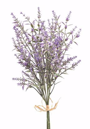 Picture of 18" Lavender Bundle x 3