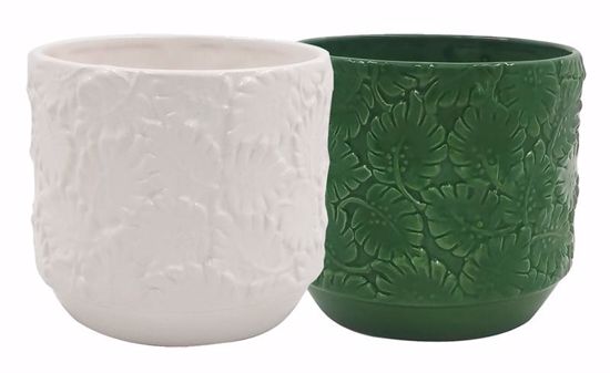 Picture of 2 Asst Green & White Leafy Planter