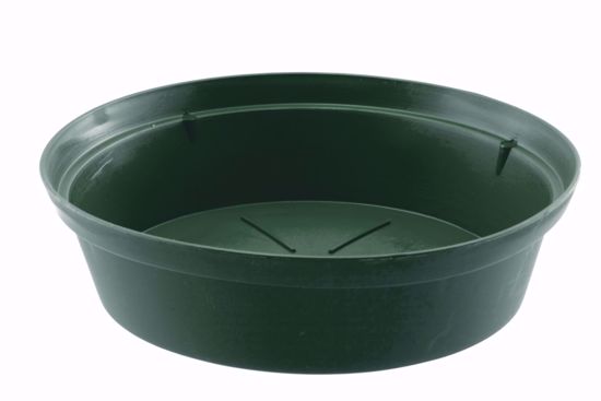 Picture of Diamond Line 16" Saucer - Green