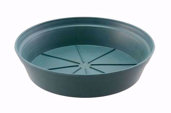Picture of Diamond Line 14" Saucer - Green