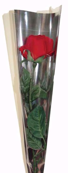 Picture of Single Clear Rose Sleeve with Mirrored Back 6 Inch Top