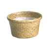 Picture of Palm Leaf Rolled Rim Dish Garden 8"