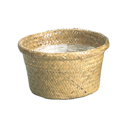 Picture of Palm Leaf Rolled Rim Dish Garden 8"