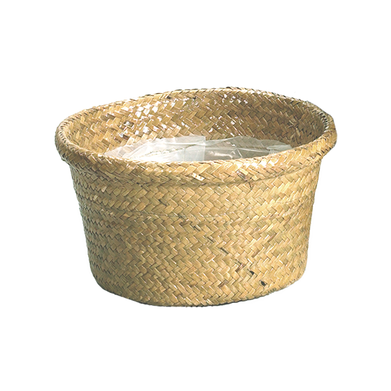 Picture of Palm Leaf Rolled Rim Dish Garden 8"