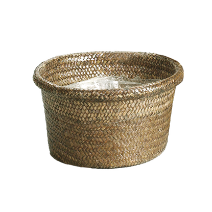 Picture of Palm Leaf Rolled Rim Dish Garden 8"