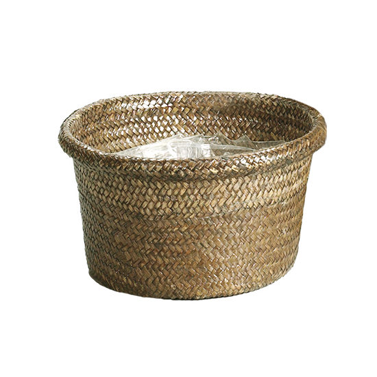 Picture of Palm Leaf Rolled Rim Dish Garden 8"