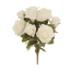 Picture of 15" White Garden Rose Bush x 9