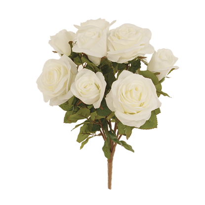 Picture of White Garden Rose Bush (9 Stems, 15")