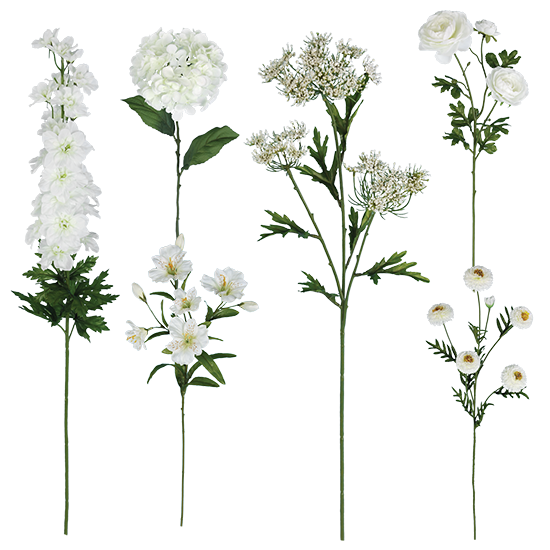Picture of White Stem Assortment (Bouquet in a Box)  (24 Stems, 25")