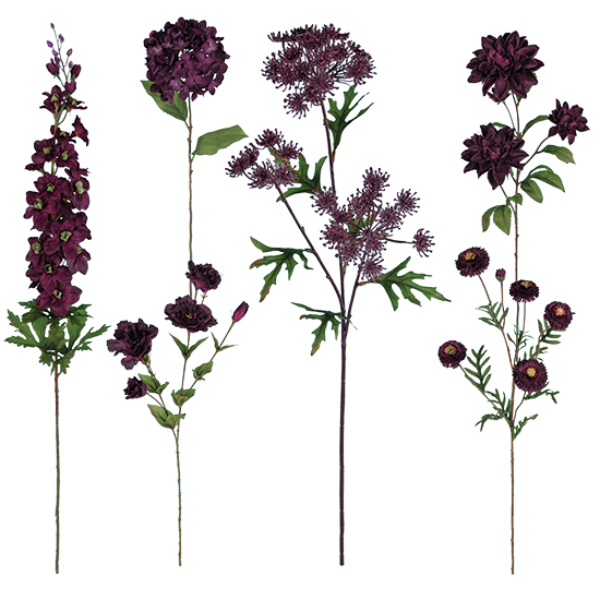 Picture of Plum  Stem Assortment (Bouquet in a Box)  (24 Stems, 25")