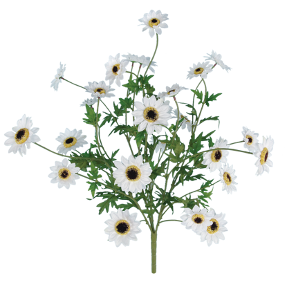 Picture of 25" White Mini Sunflower Bush x 5