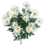 Picture of 19" Wild Daisy Bush x 12