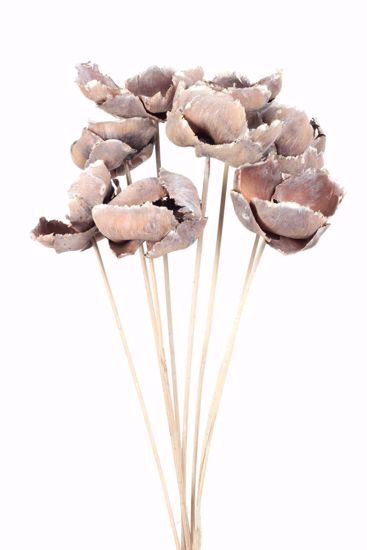 Picture of Whitewash Palm Caps