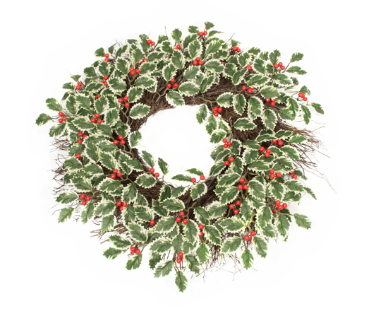 Picture of Holiday Variegated Holly with Berries Wreath (24")