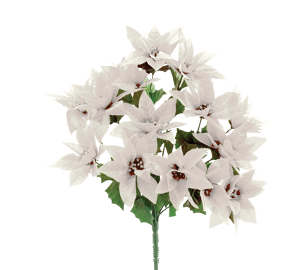 Picture of 17" White Poinsettia Bush x 14