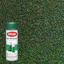 Picture of Krylon Glitter Blast  -Lucky Green