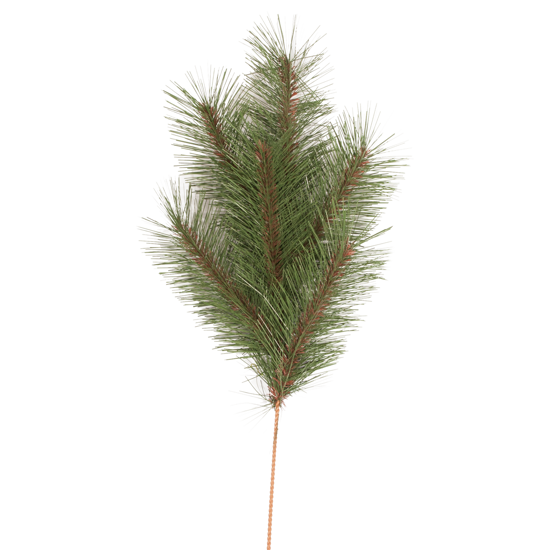 Picture of Evergreen Spray-Needle Pine (6 Branches, 20")