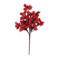 Picture of 13" Berry Bush
